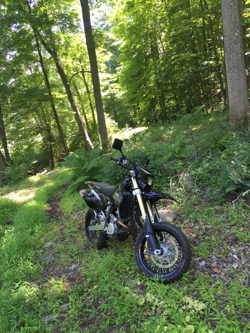 The poor girl just escaped my poor riding skills piloting her over rocky terrain